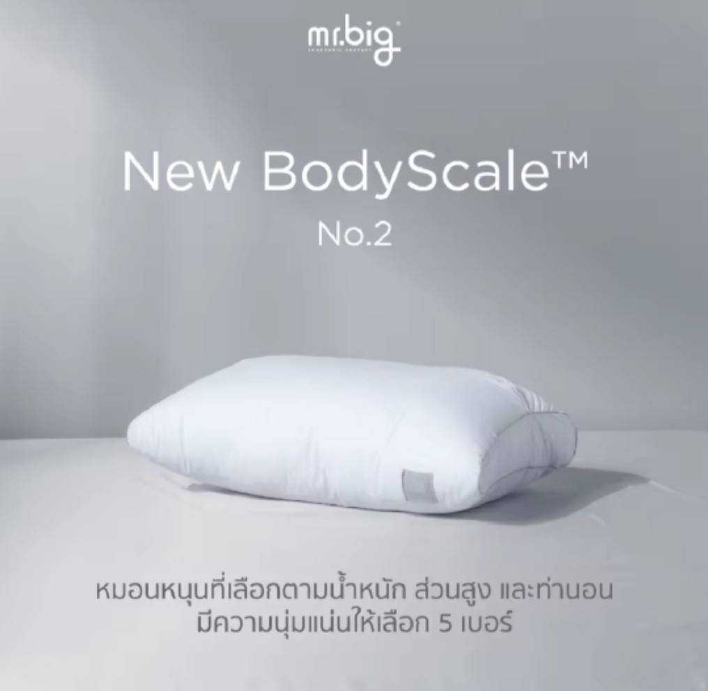 mr.big New BodyScale Pillow No.2 : หมอนหนุนเลือกตามน้ำหนักส่วนสูงท่านอน