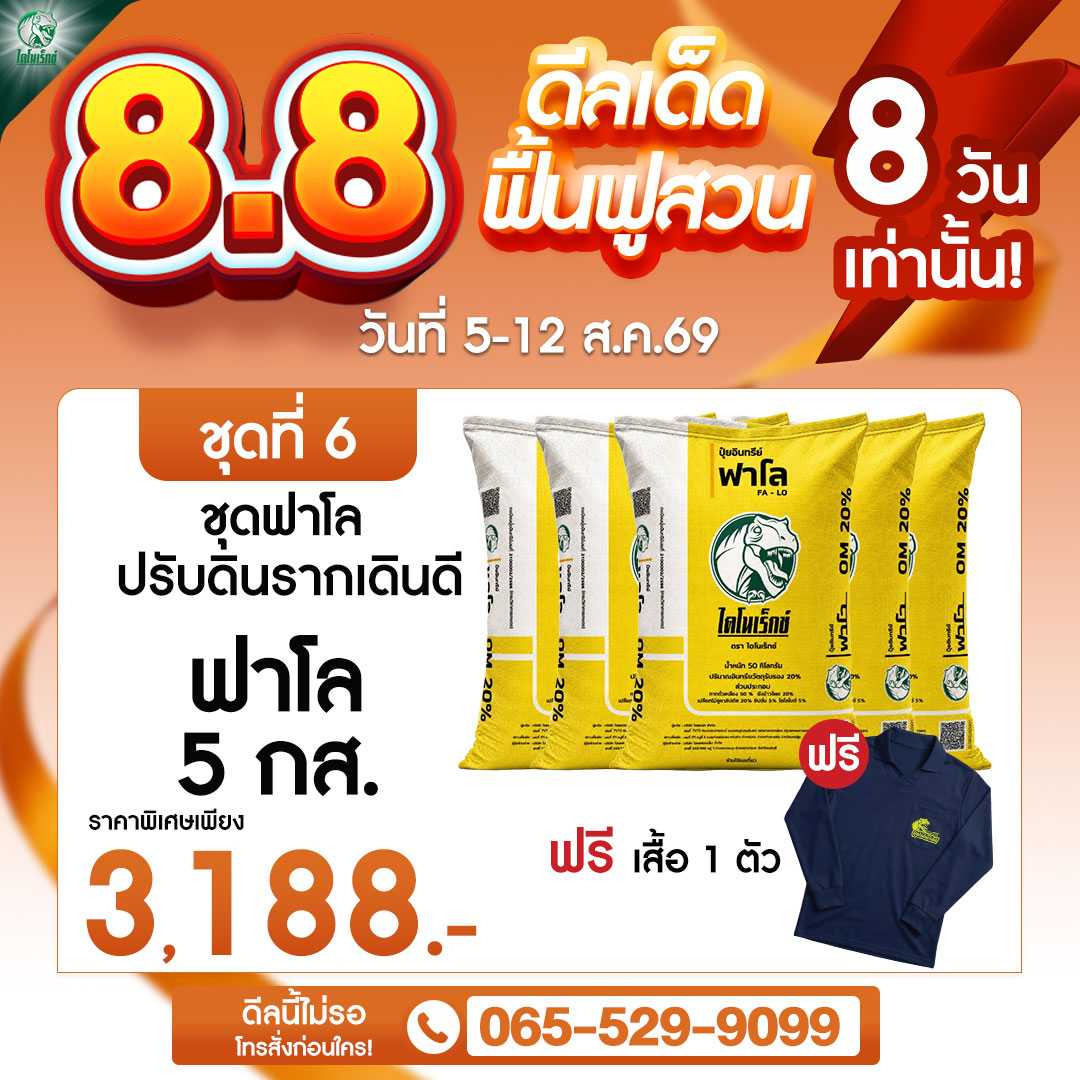 โปร 8.8 ชุดที่ 6