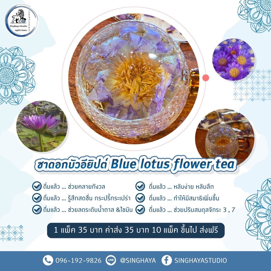 ชาดอกบัวอียิปต์ Blue lotus flower tea 🪷🫖✨