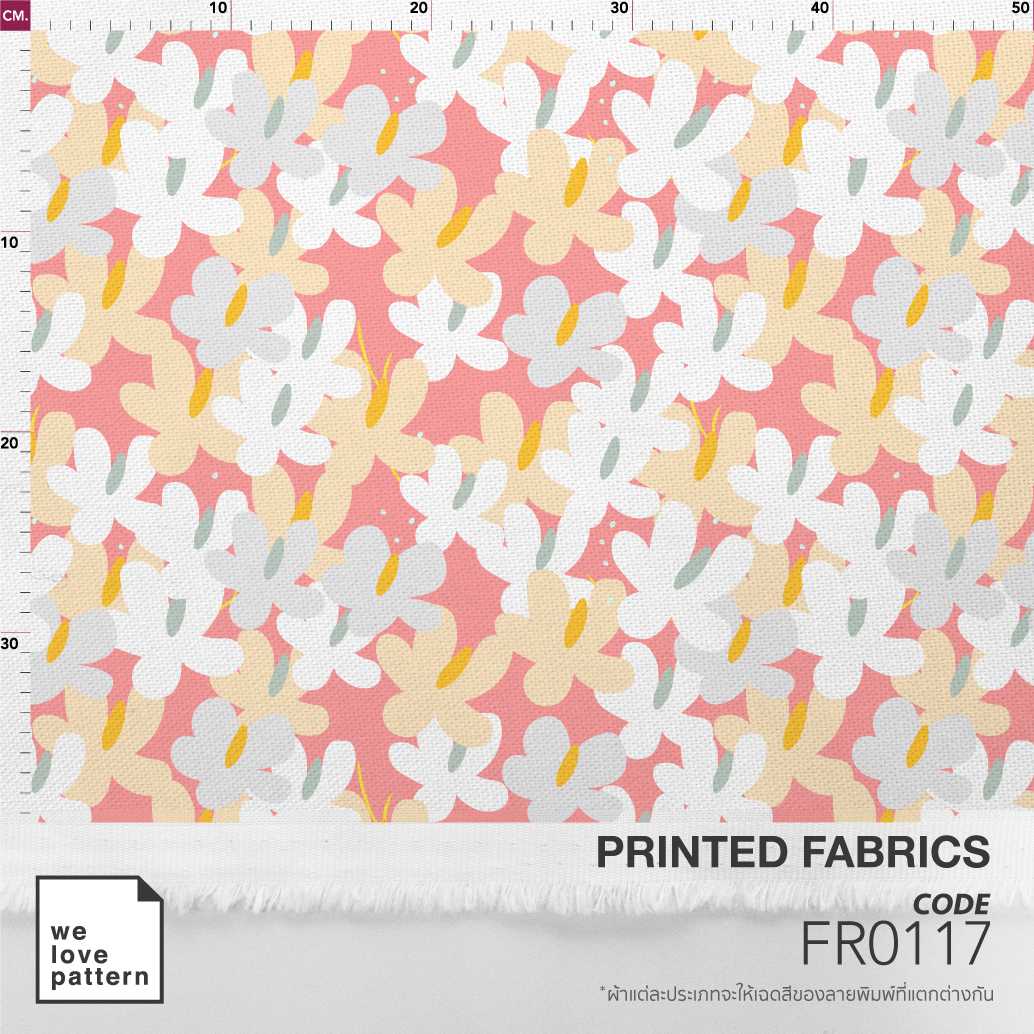 รหัสลาย : FR0117