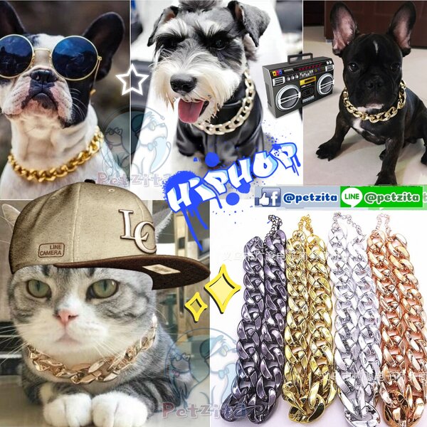 🇹🇭พร้อมส่ง🇹🇭 สร้อยโซ่ทอง โซ่เงิน บริ๊งๆ สุดฮิพฮอพ For PET 💫 สร้อยคอสัตว์เลี้ยง สุนัข หมา แมว
