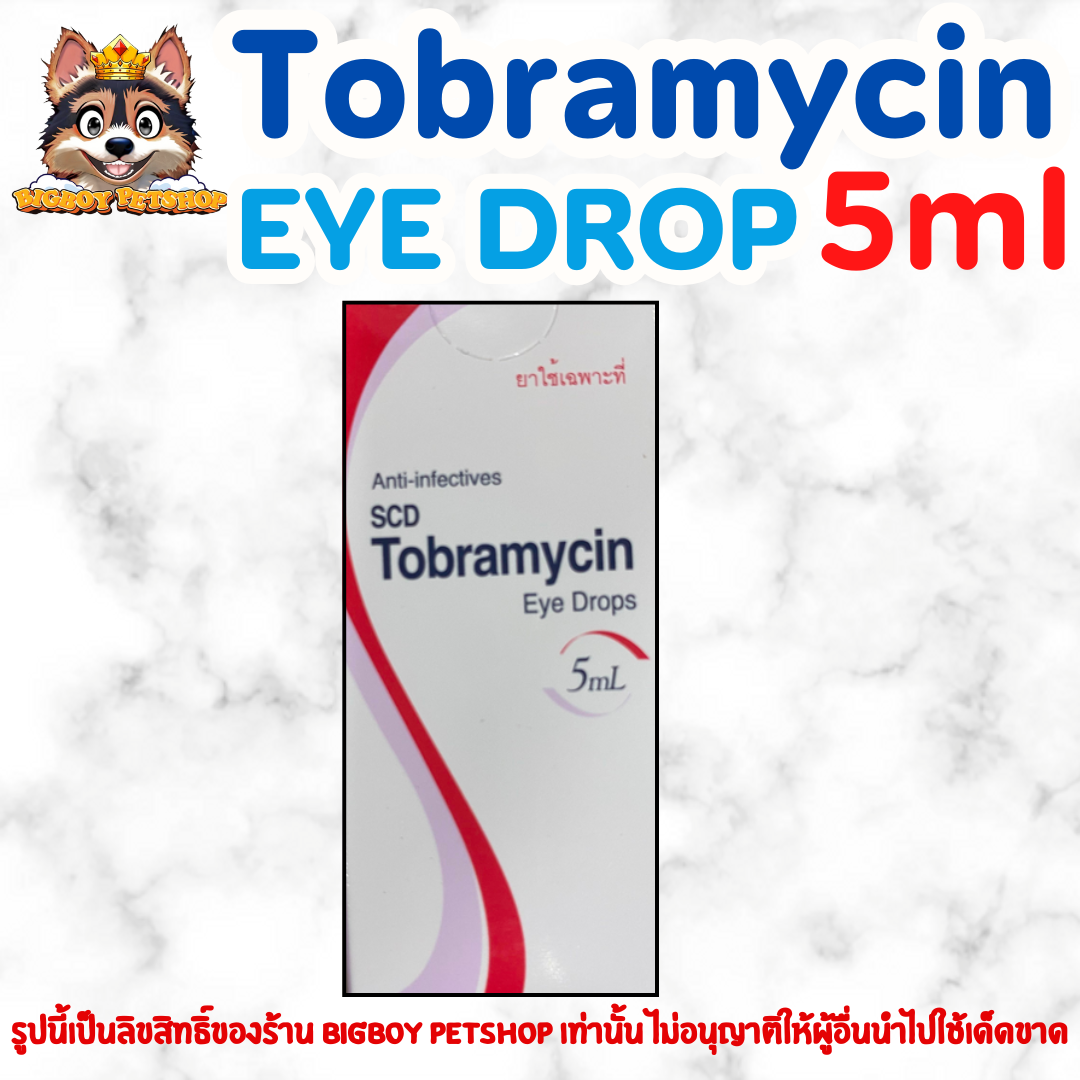 Tobramycin 5ml