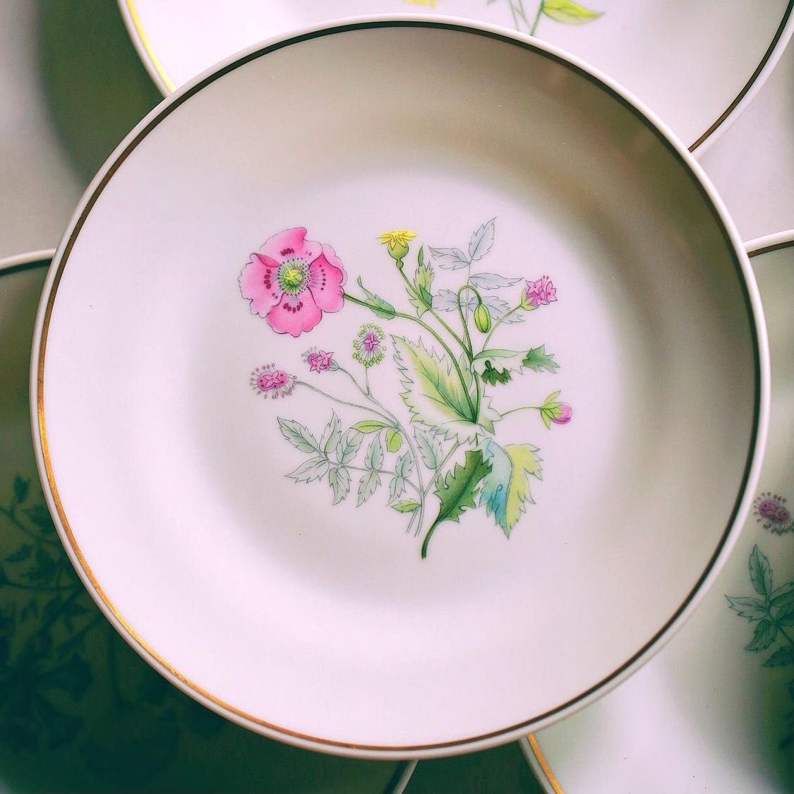 จานสลัด7.75” Richard Ginori -  Salad Plate