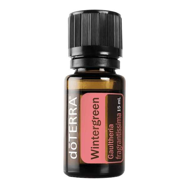 Wintergreen - วินเทอร์กรีน - 37 PV