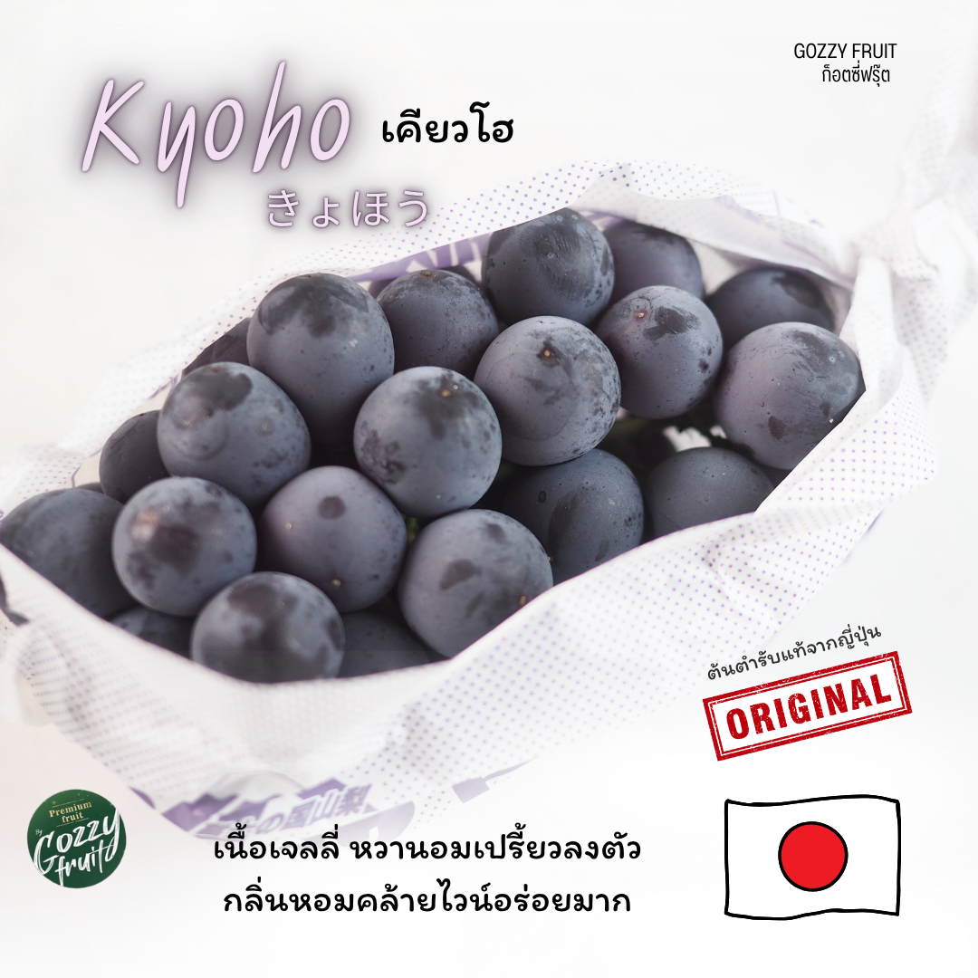 องุ่น Kyoho  (เคียวโฮ) แท้จากญี่ปุ่น ปลูกญี่ปุ่น