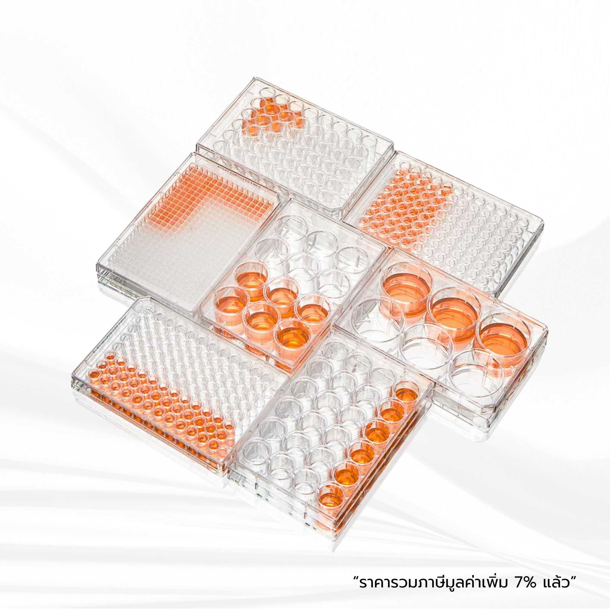 Cell Culture Plate, Tissue Culture Treated