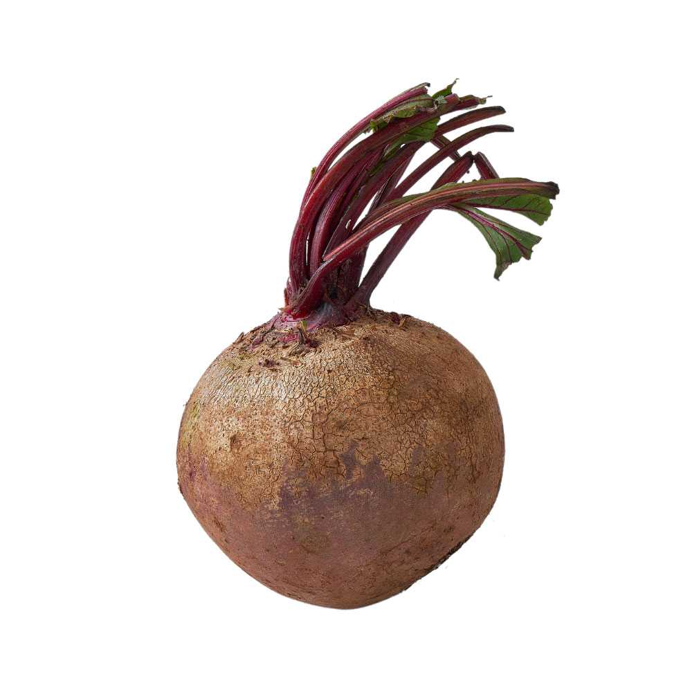 FG06003 บีทรูท Beetroot ( 500g )