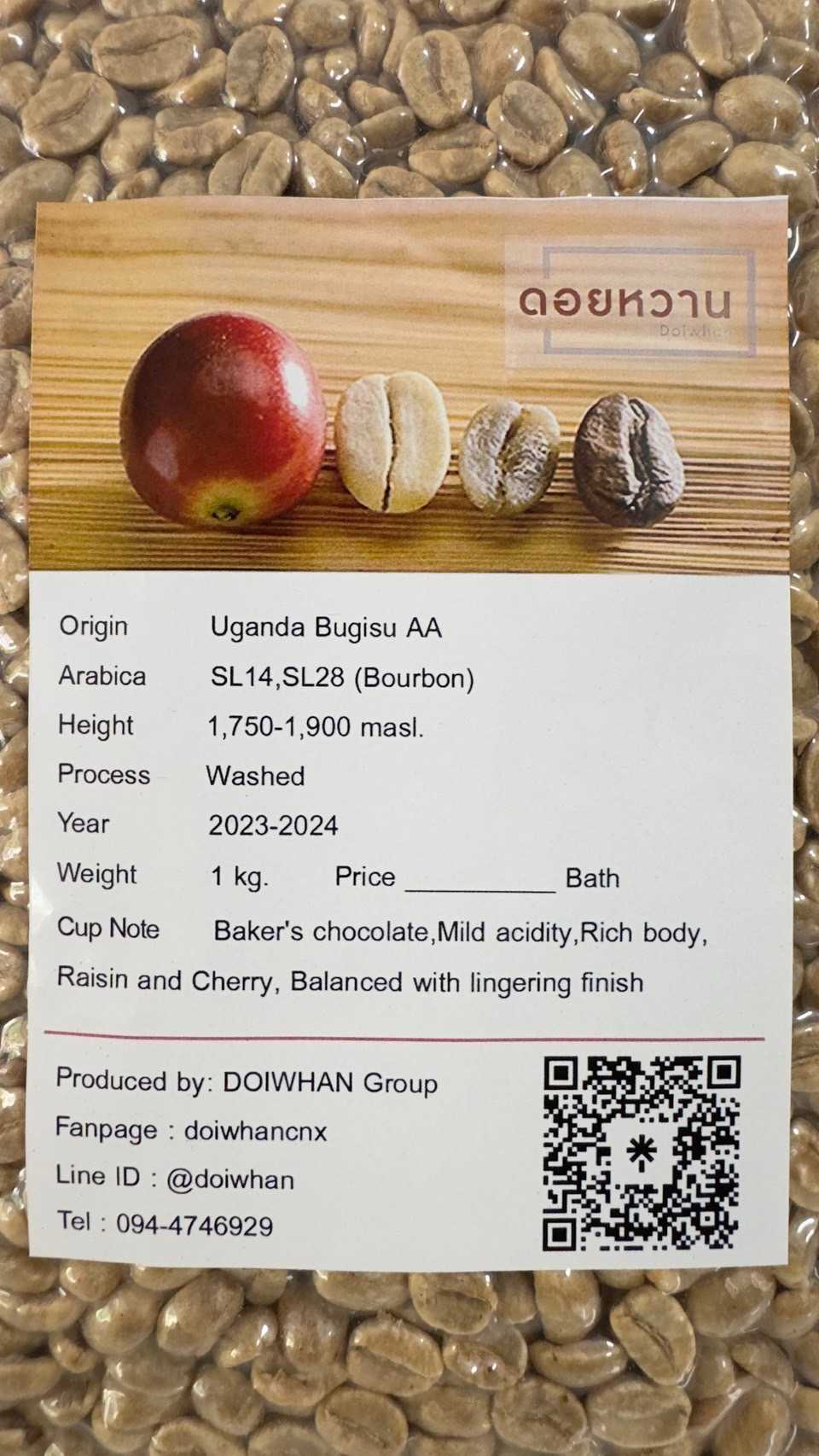 สารกาแฟยูกันดา Uganda Bugisu AA