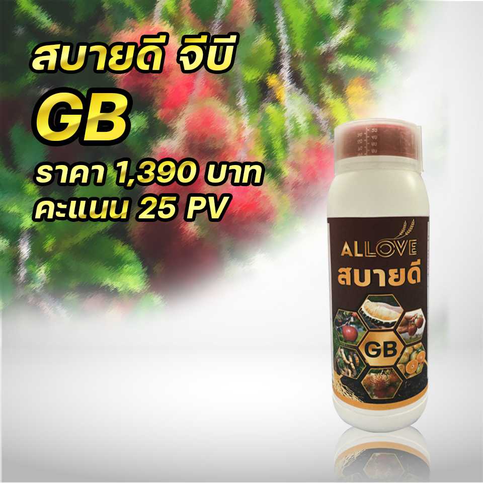 สบายดี จีบี (ซื้อกิน...ซื้อใช้)25 PV