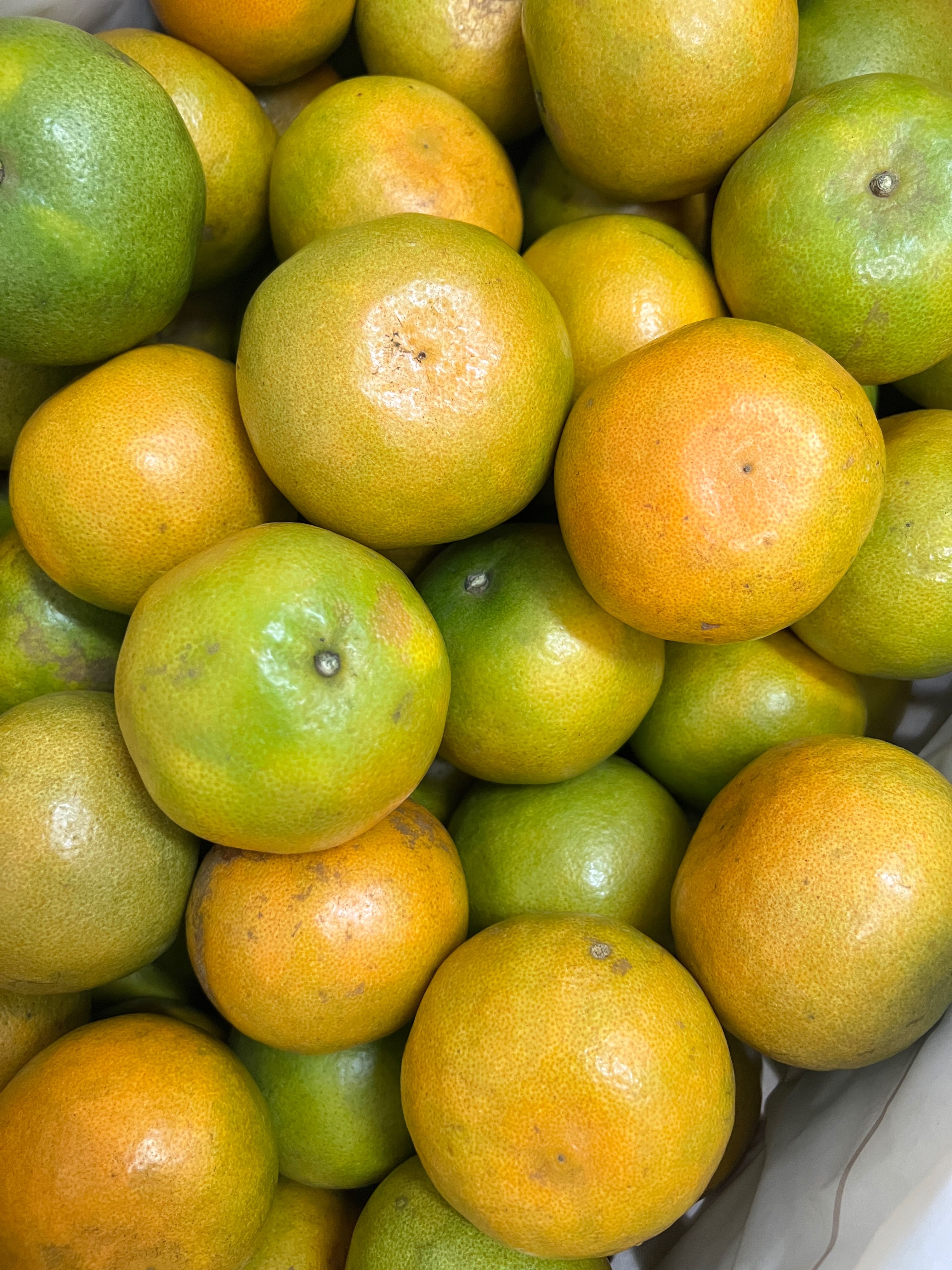 ส้มสายน้ำผึ้ง 1 kg./ 5-6  pcs. (Sai nam peung Orange)