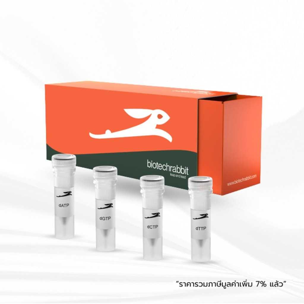 biotechrabbit dNTP Set 250 µl (4 × 100 mM solutions)