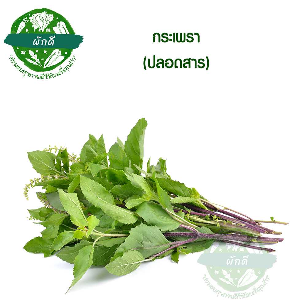 กระเพราบ้าน ปลอดสาร 150 กรัม