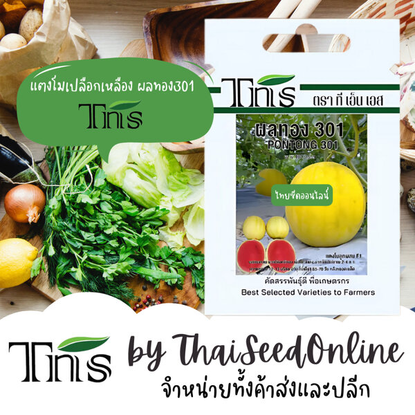 TNS(ทีเอ็นเอส) TNS(ทีเอ็นเอส) TNS เมล็ดพันธุ์แบบซองเล็ก แตงโมเปลือกเหลือง เนื้อแดง ผลทอง 301ตรา ท...