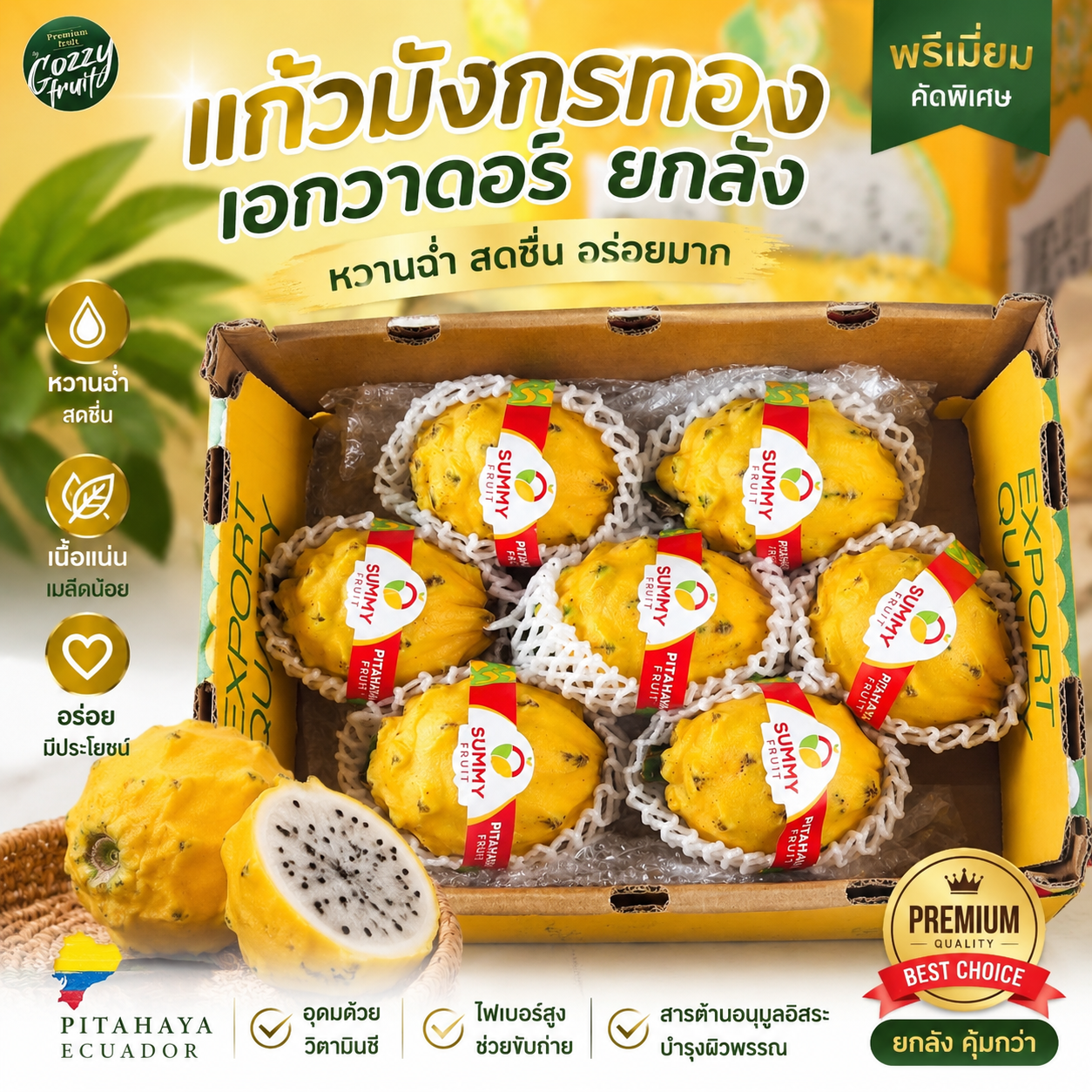 แก้วมังกรทองเอกวาดอร์ ยกลัง 7 ผล