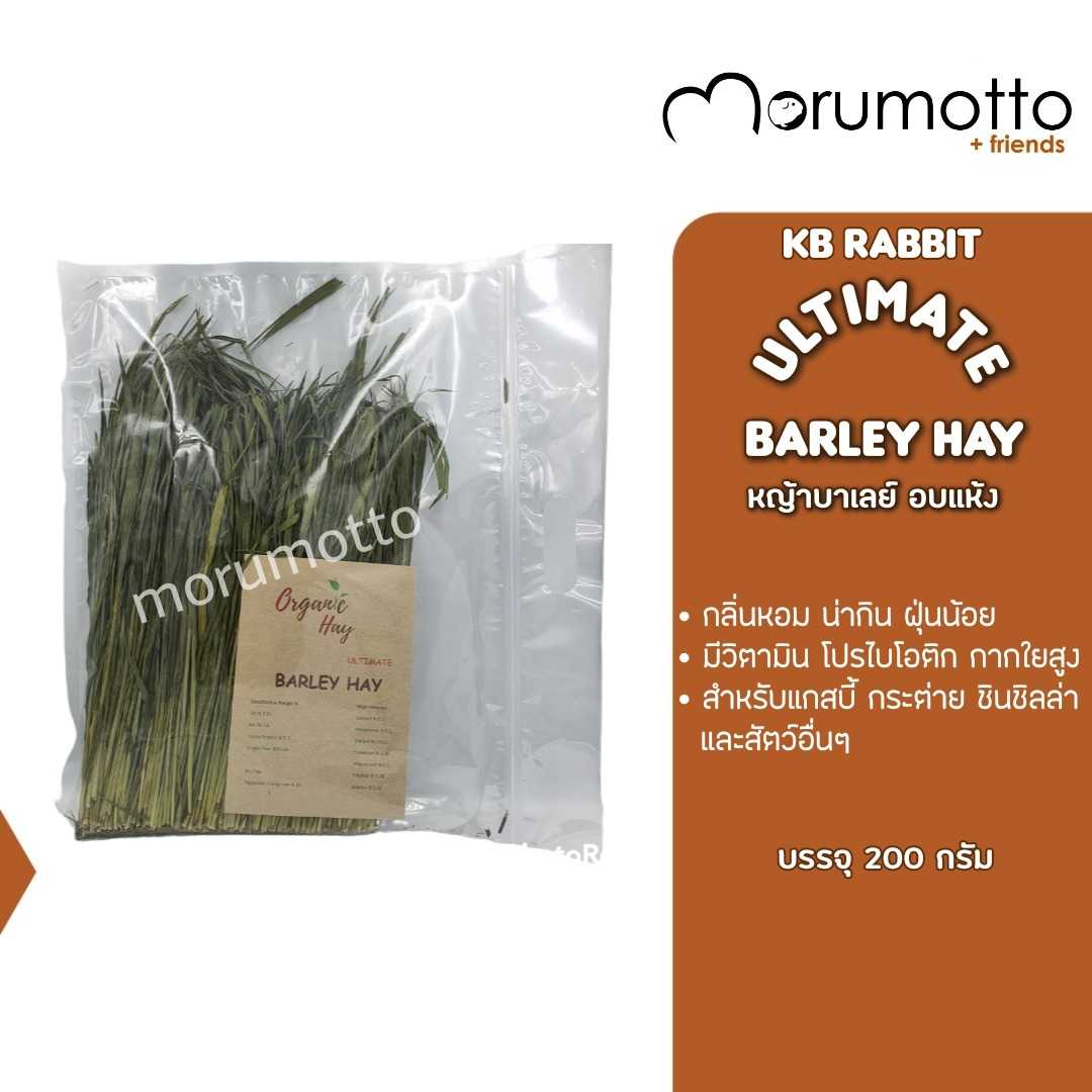 KB Rabbit Ultimate Barley Hay หญ้าบาร์เลย์ ออร์แกนิคอบแห้ง หญ้าสำหรับกระต่าย แกสบี้ ชินชิล่า (200 g)