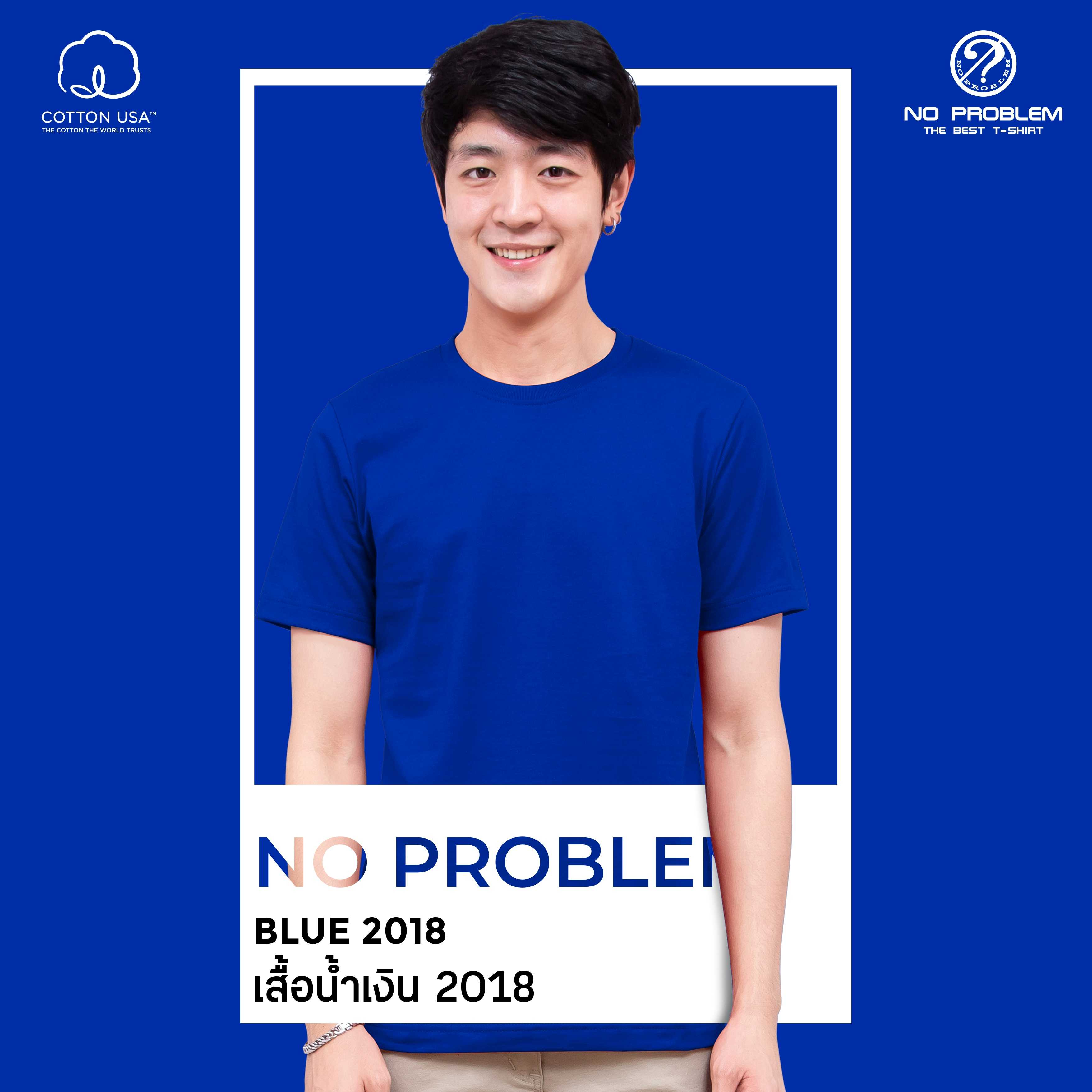 เสื้อยืดคอกลม สีน้ำเงิน 2018  No problem - Basic Tee NO.0020 Cotton100% Easy Tone