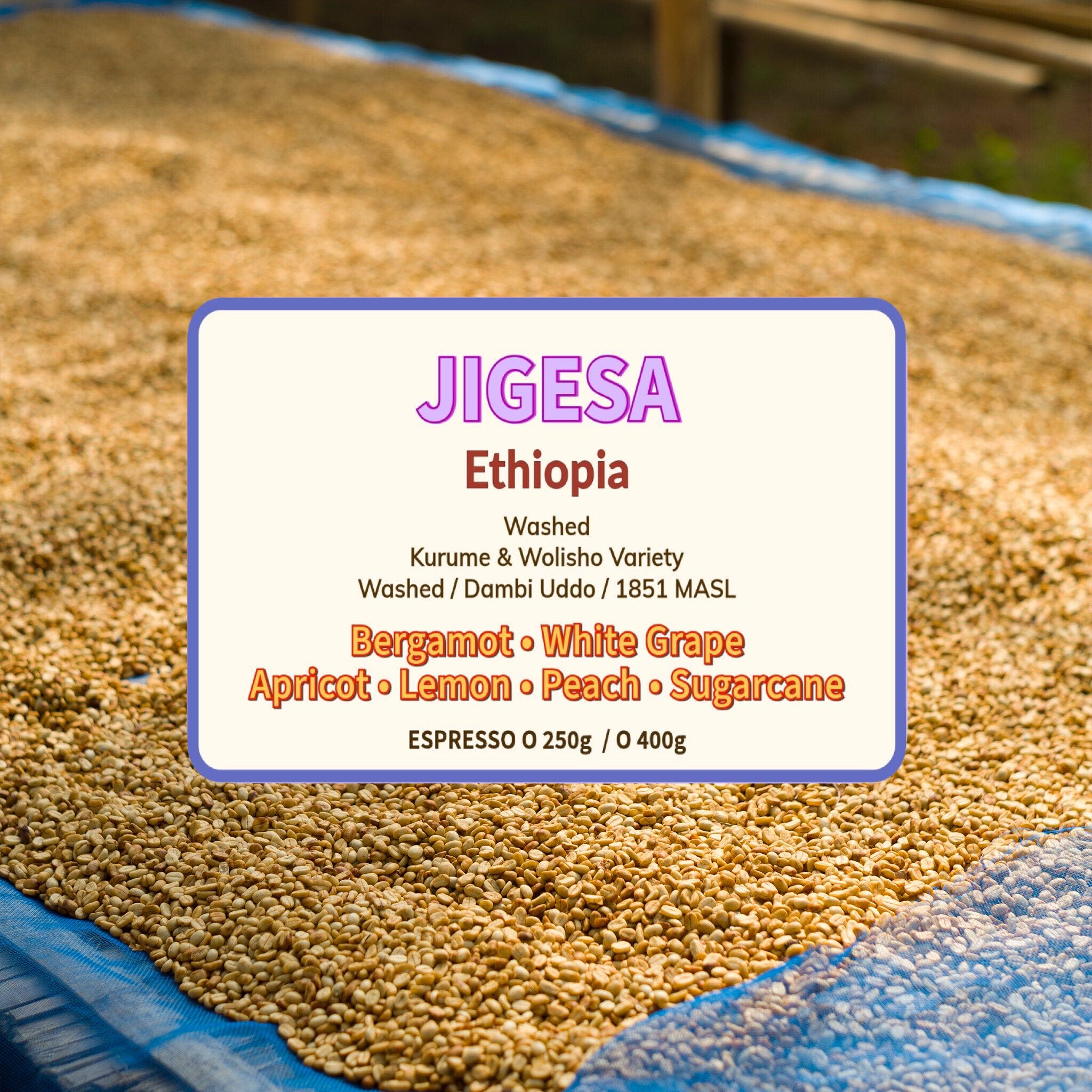 Jigesa ( Espresso Roasted )