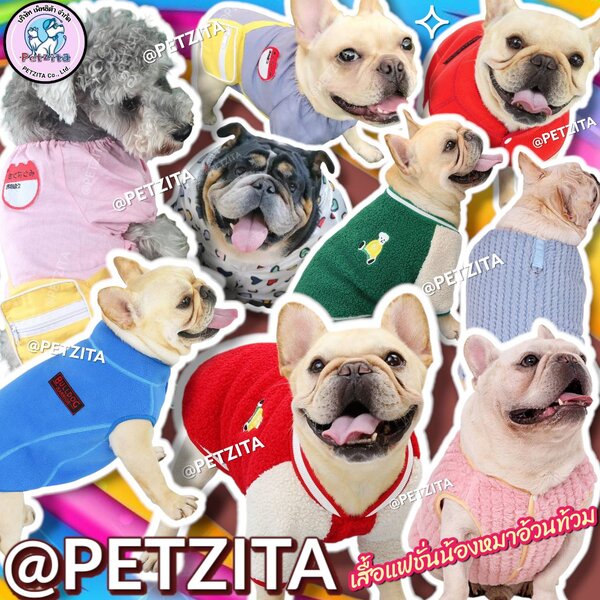 🇹🇭พร้อมส่ง🇹🇭 เสื้อแฟชั่นสุดฮิต หมาอ้วน 🔵🐻 เสื้อผ้าสัตว์เลี้ยง สุนัข หมา