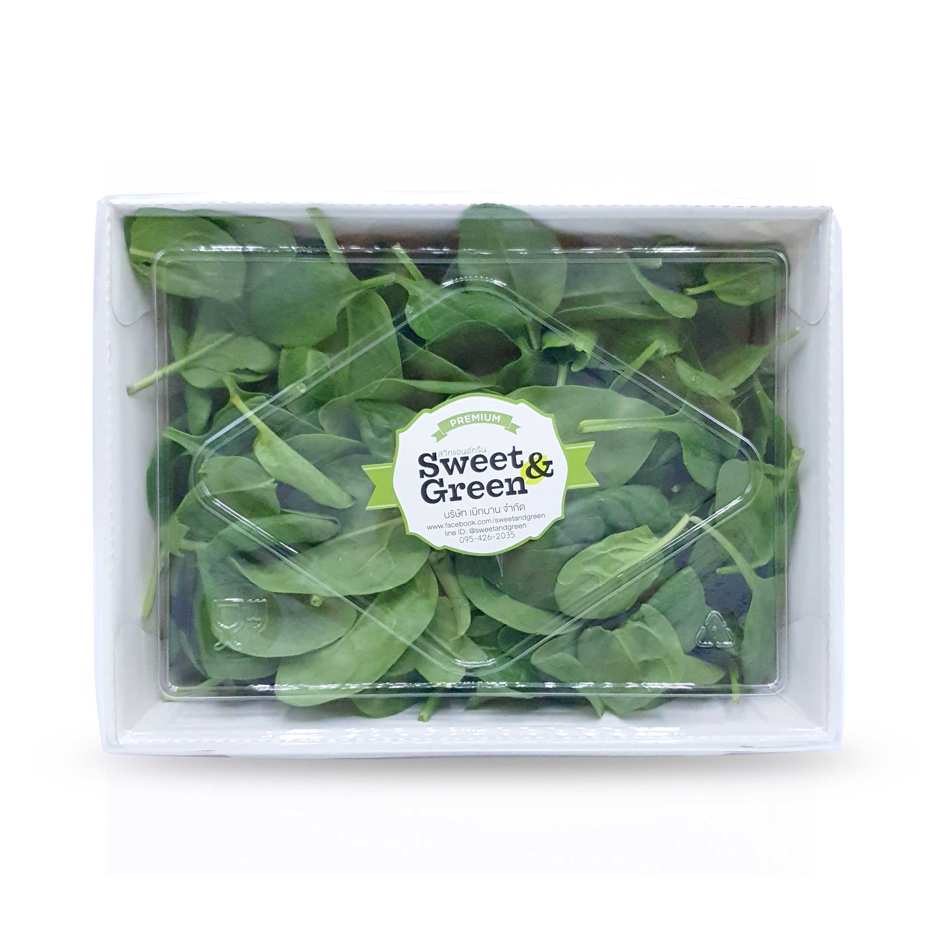 เบบี้สปิแนช  (Baby Spinach )