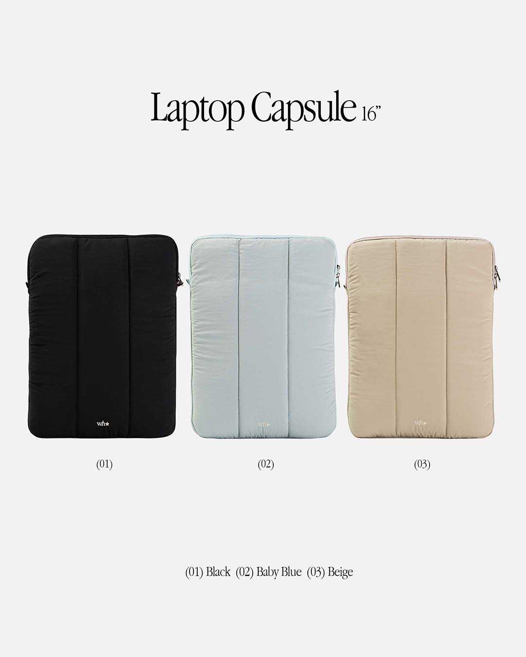 Laptop Capsule (16 Inches)