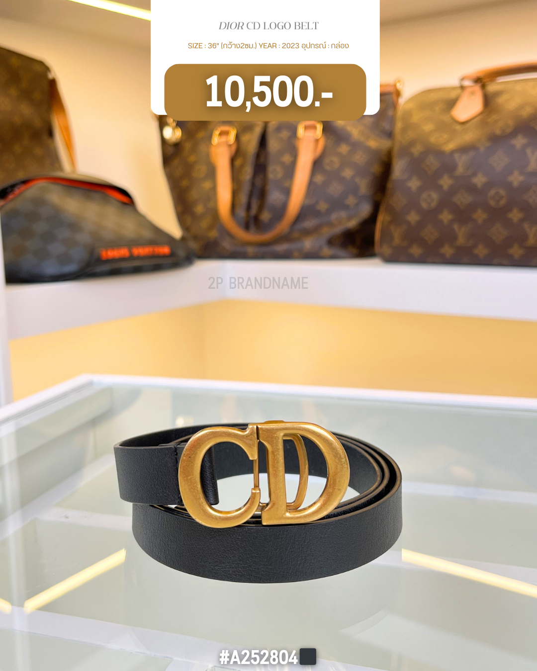 DIOR CD LOGO BELT (A252804)