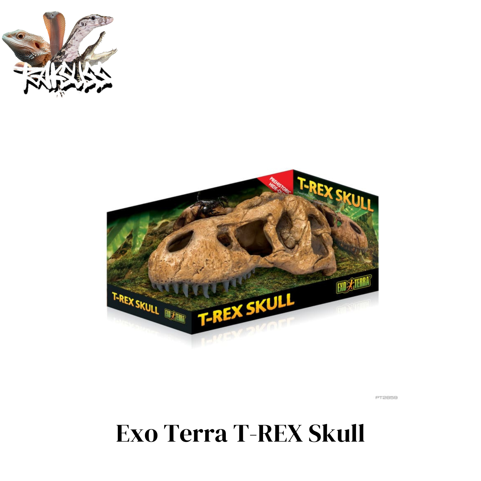 Exo Terra T-rex Skull