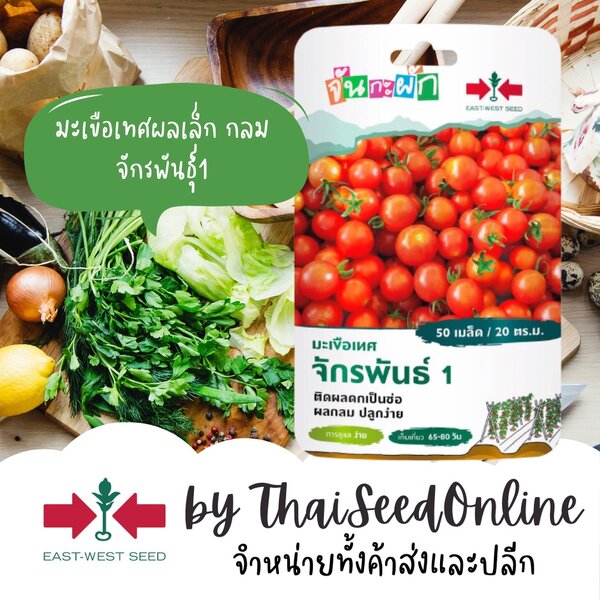 GGEW มะเขือเทศเชอร์รี่จักรพันธุ์1 50เมล็ด ตราศรแดง มะเขือราชินี ผลกลม เมล็ดพันธุ์พระราชทาน จันกะผ...