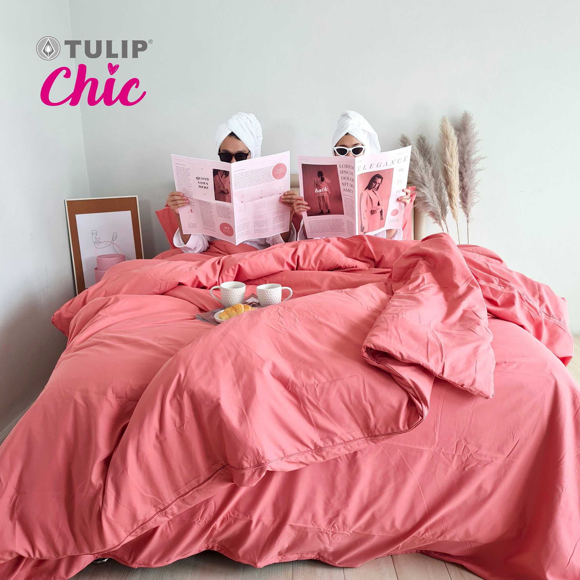 ชุดเครื่องนอน TULIP Chic สีพื้น CHIC03