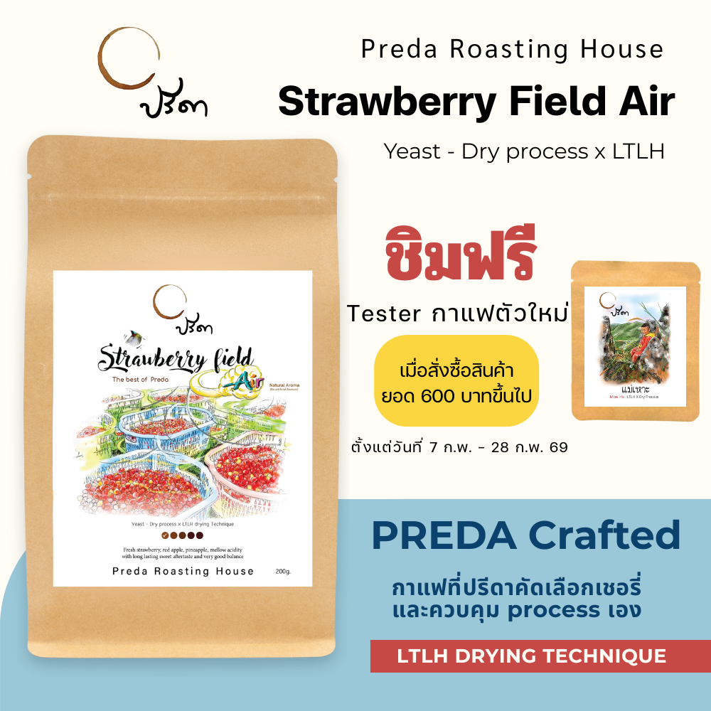 Strawberry field Air (Yeast Dry Process x LTLH)