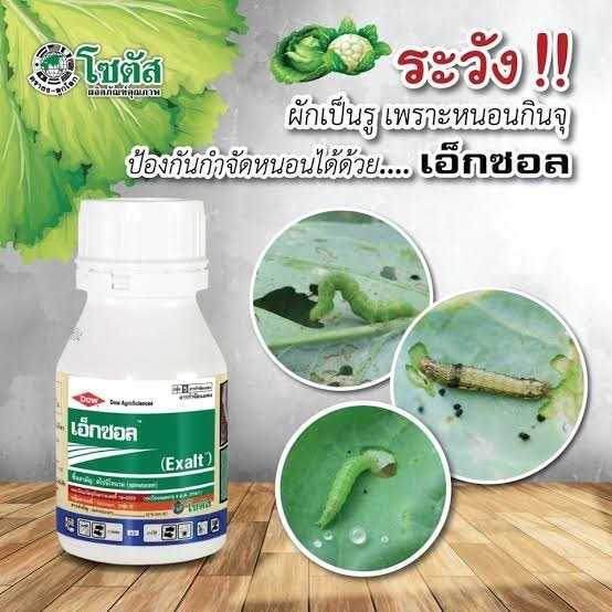 เอ็กซอล 250 ซีซี สาร สไปนีโทแรม (spinetoram) 12% W/V SC จุดจบของหนอนร้าย