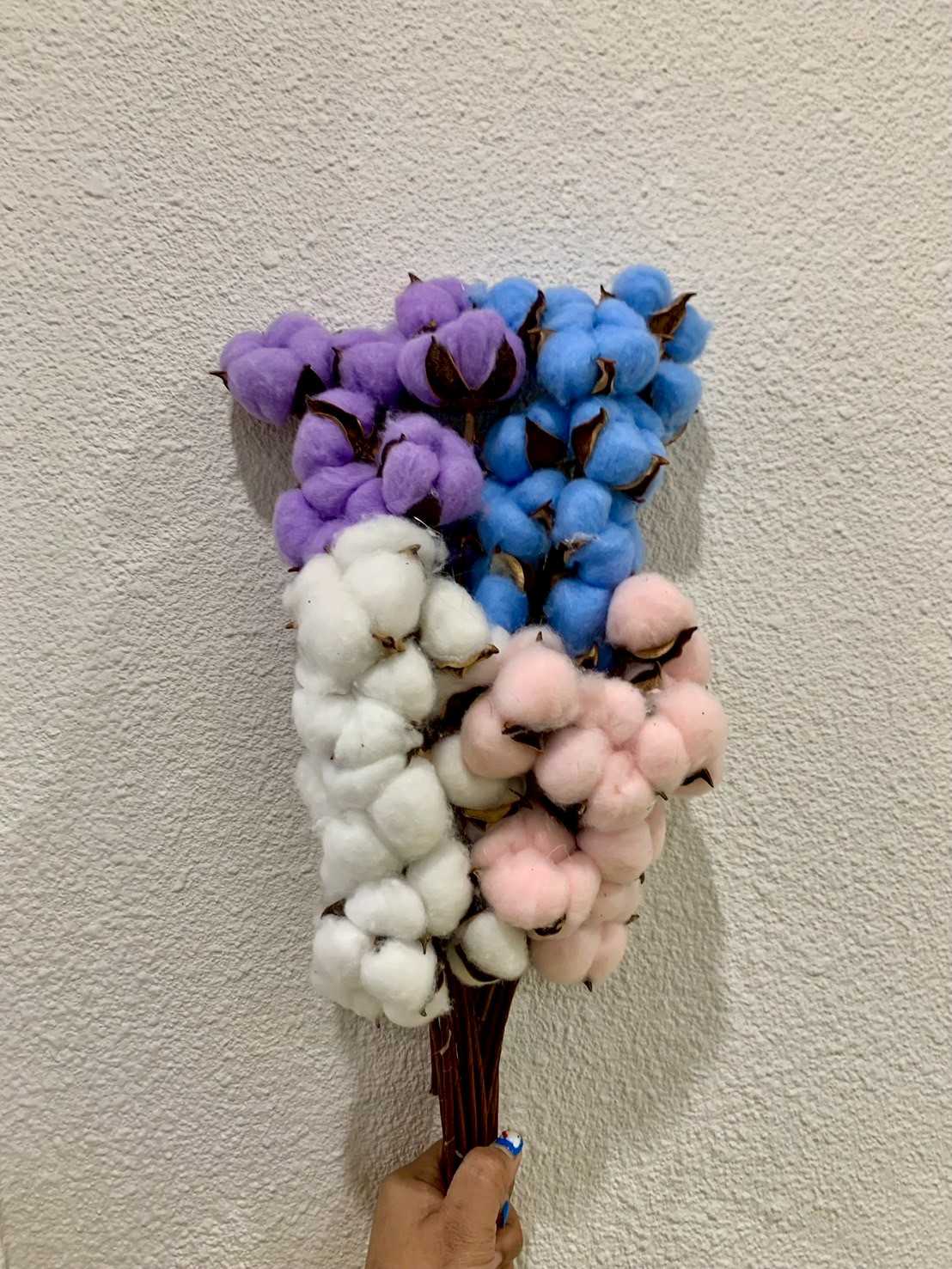 ฝ้ายแห้ง (ดอกเดี่ยว) -เลือกสีในแชท-