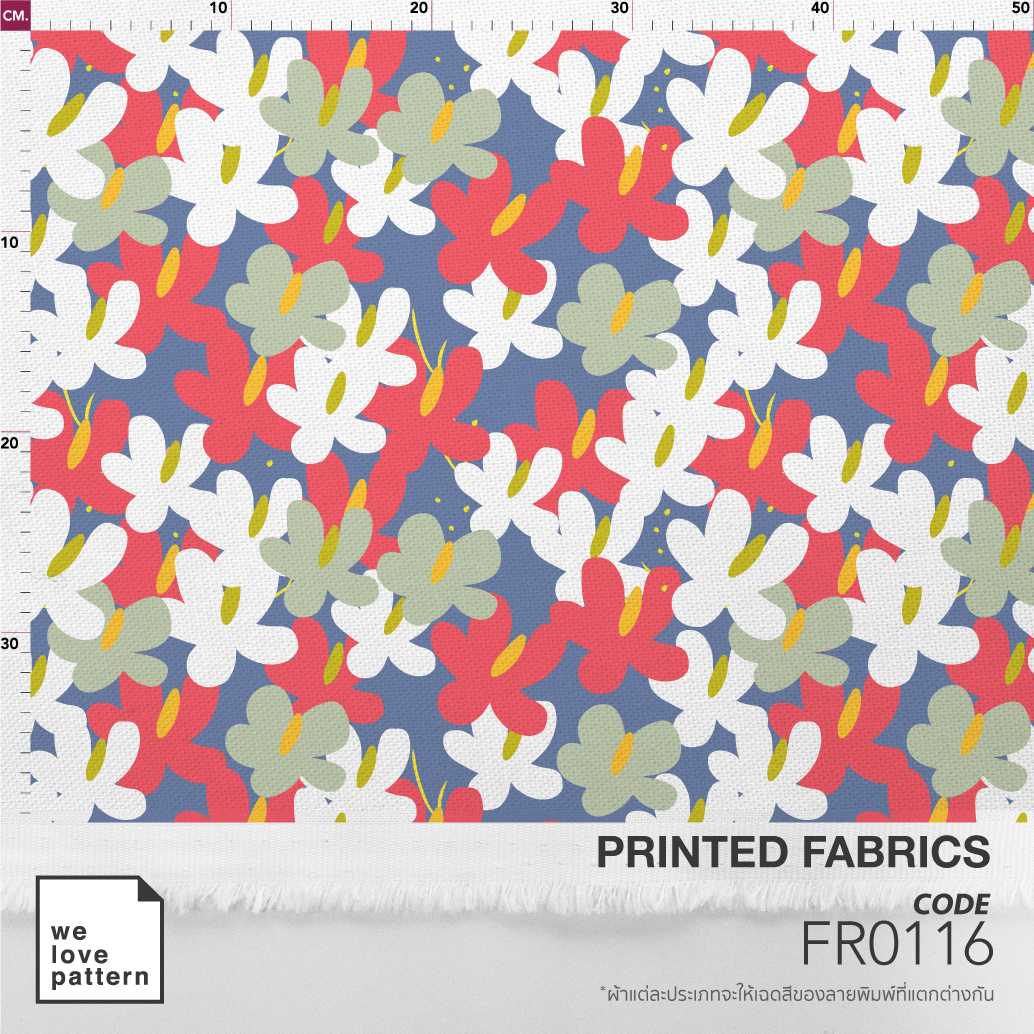 รหัสลาย : FR0116