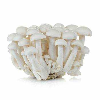 เห็ดชิเมจิขาว ถุง125g สินค้านำเข้า