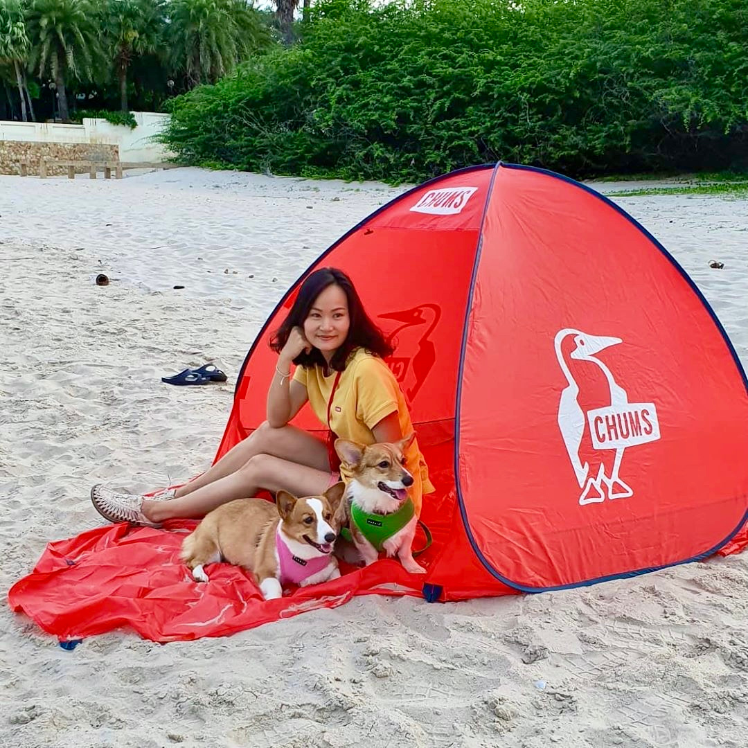 Pop Up Sunshade 2
