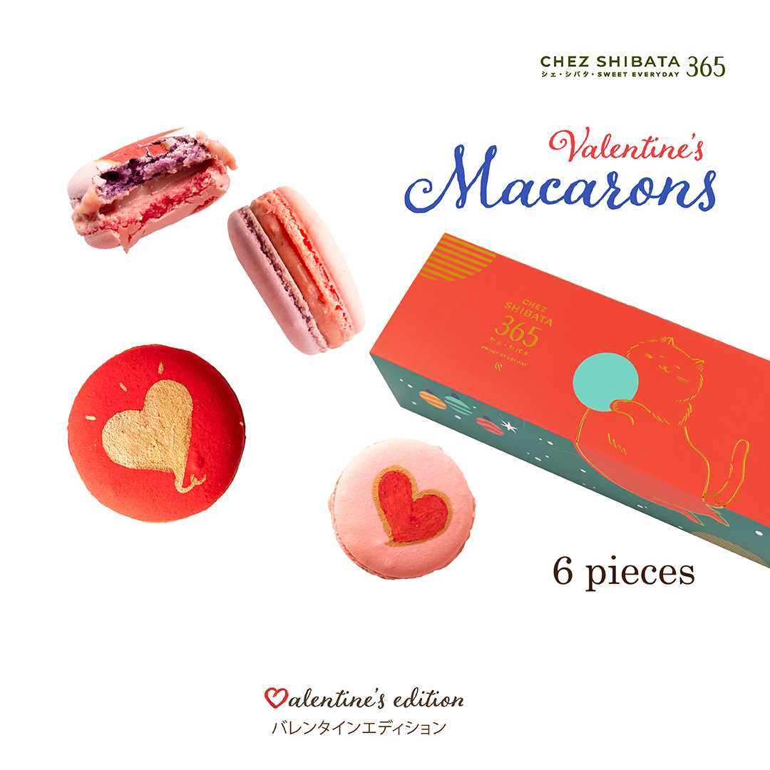6 piece Macaron set