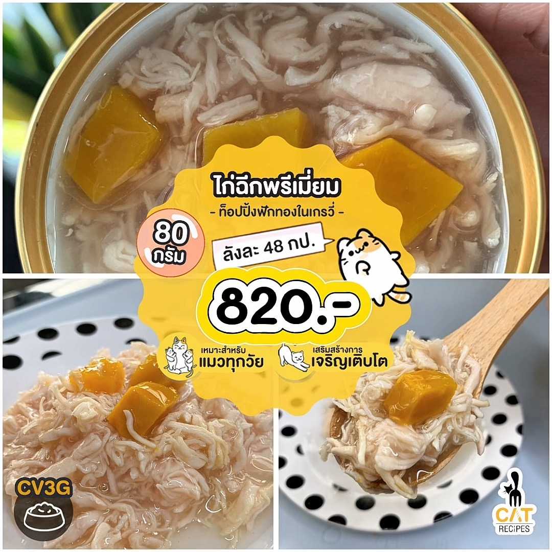 🌟 (CV3G) ไก่ฉีกท็อปปิ้งฟักทองในเกรวี่ ไซส์ 80 กรัม