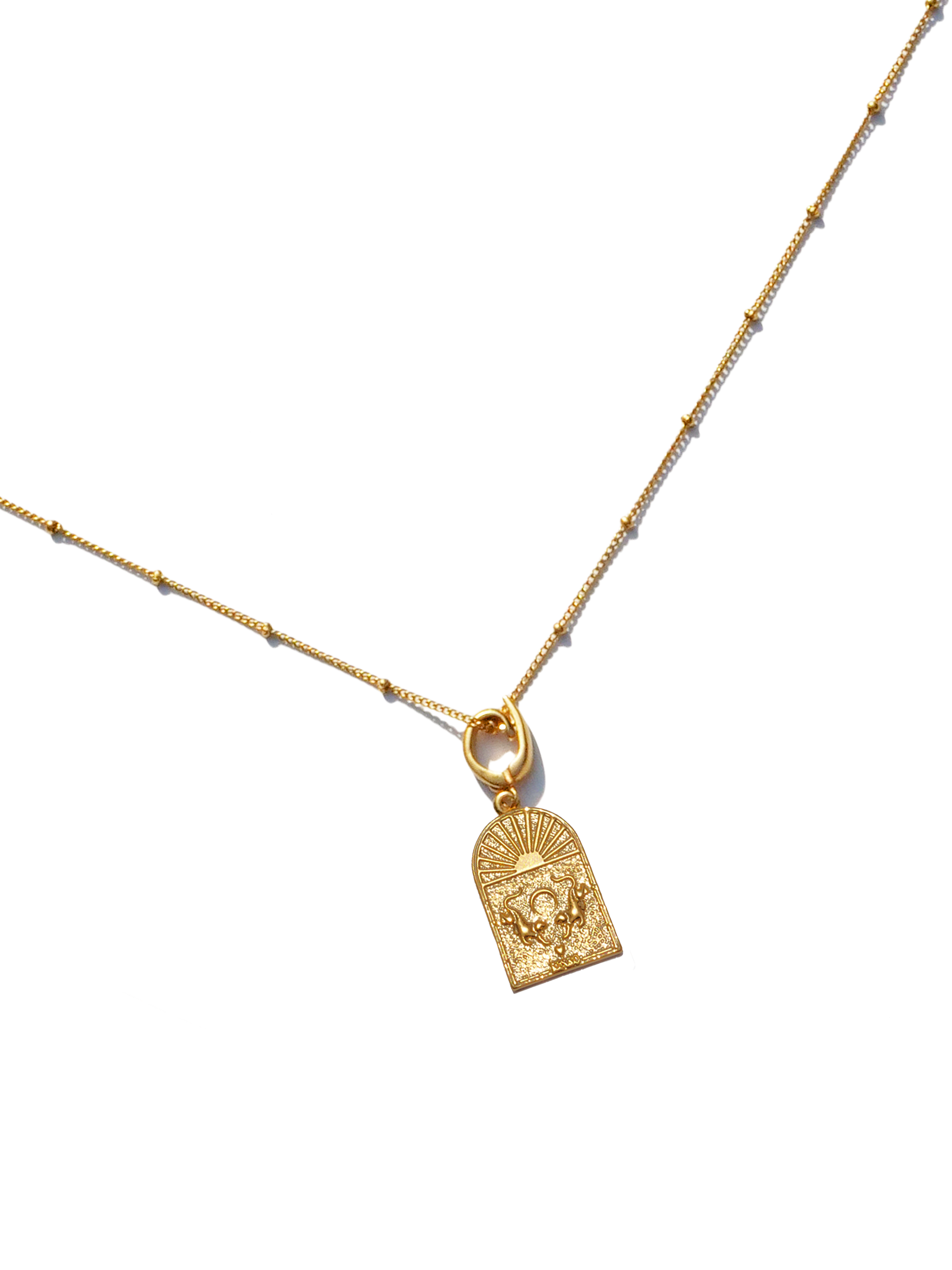 The Twin Tiger Necklace