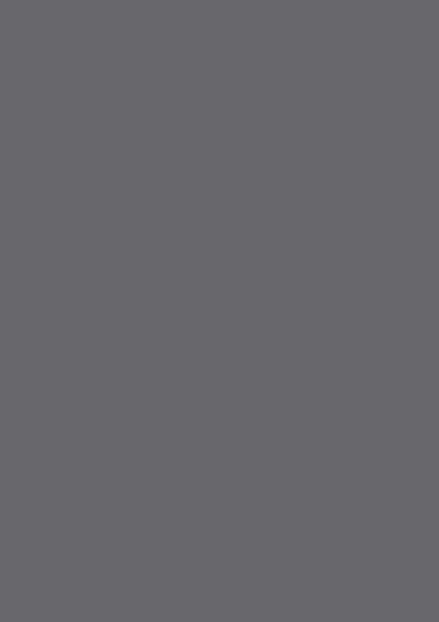 แผ่นลามิเนต DUST GREY | PL 1119 T