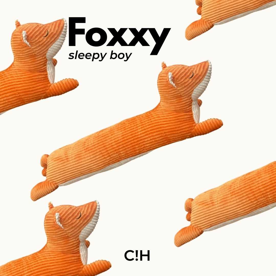 FOXXY/พร้อมส่ง/