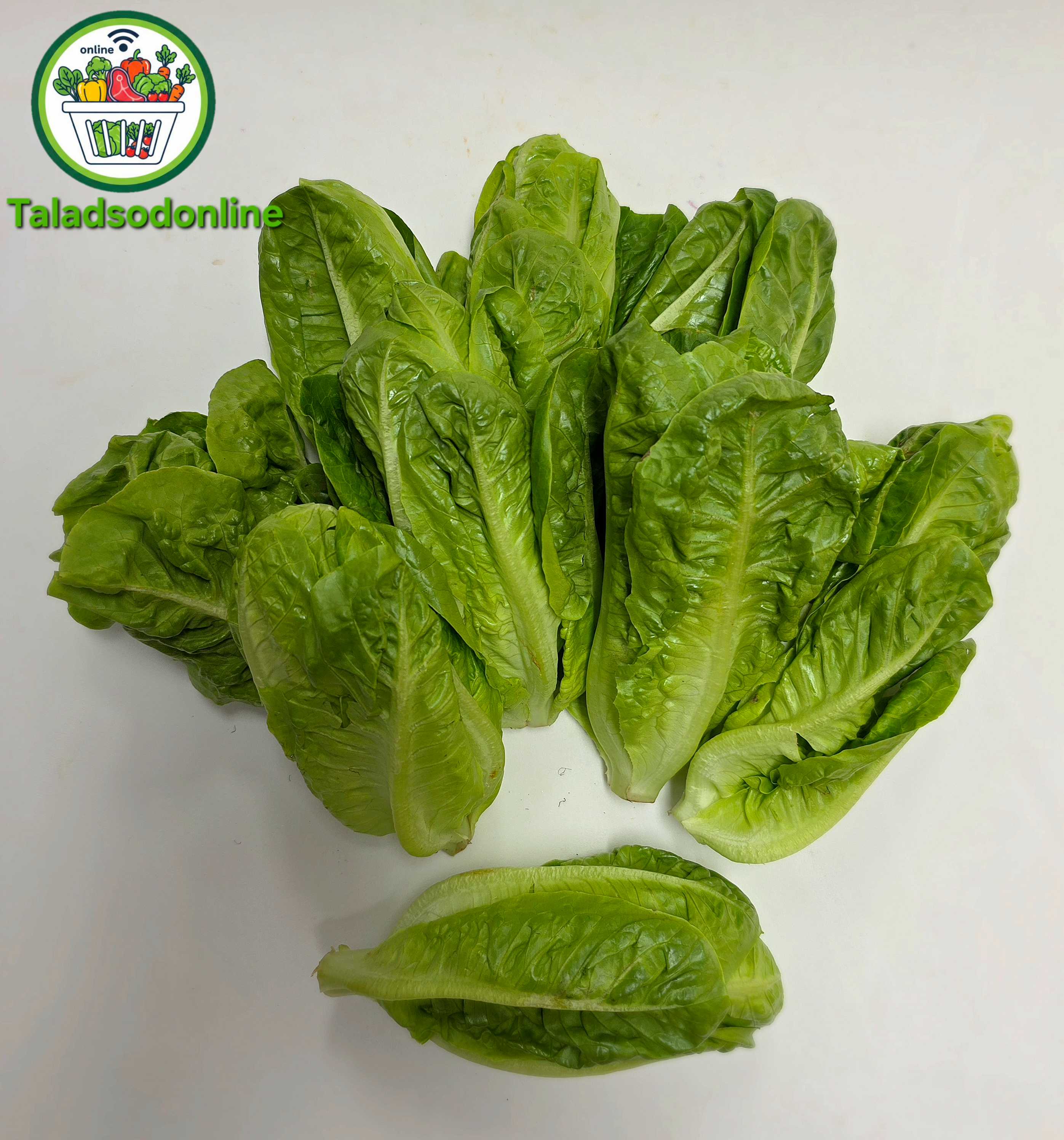 เบบี้คอส สด สะอาด รับประกันคุณภาพ