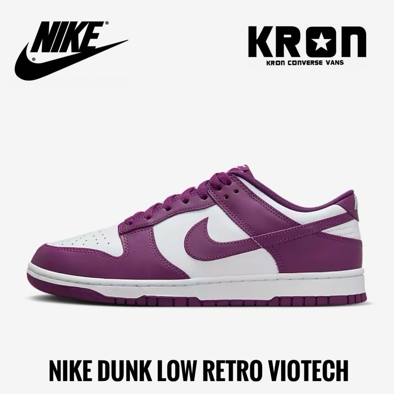 Nike Dunk Low Retro Viotech