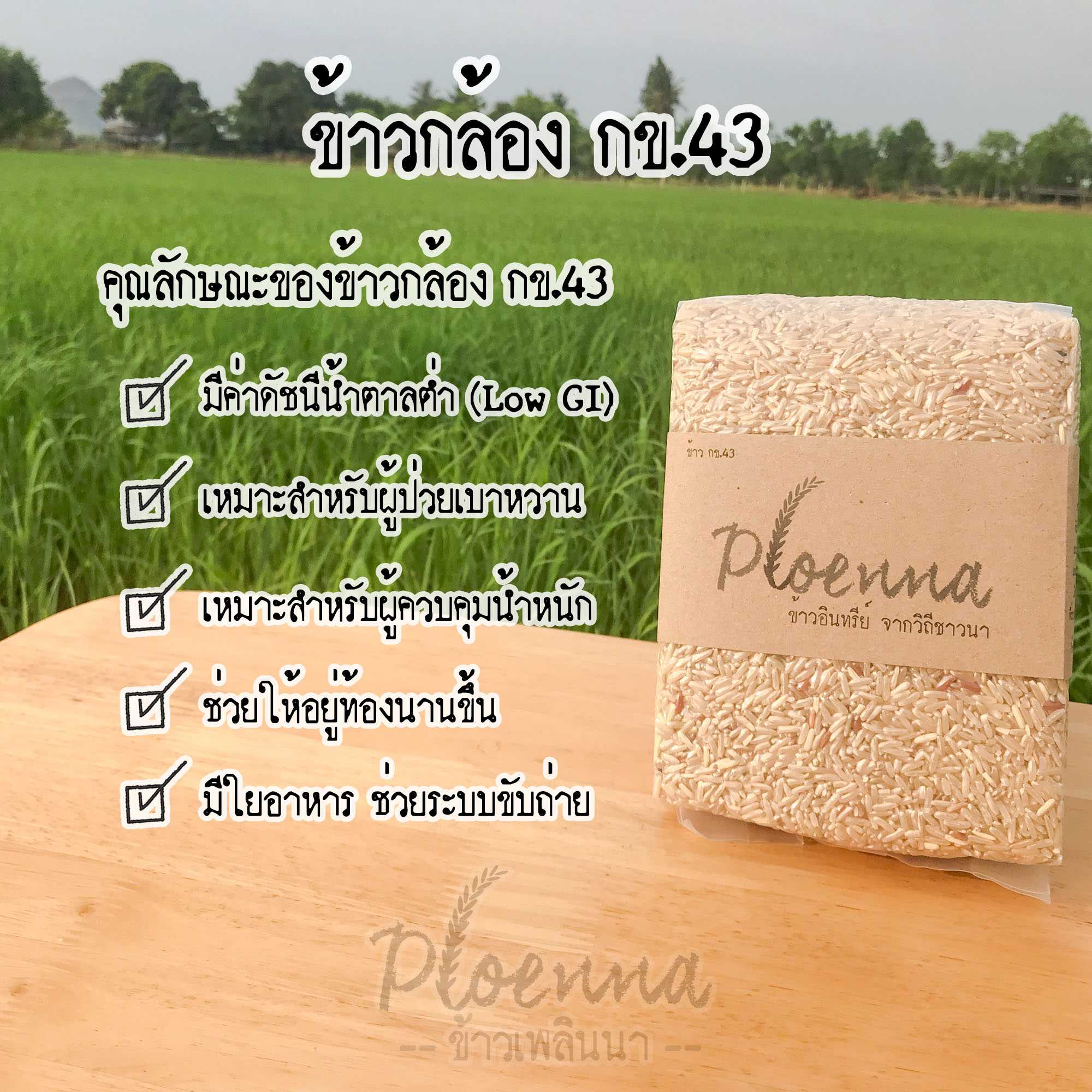 ข้าวกล้องกข.43 เพลินนา