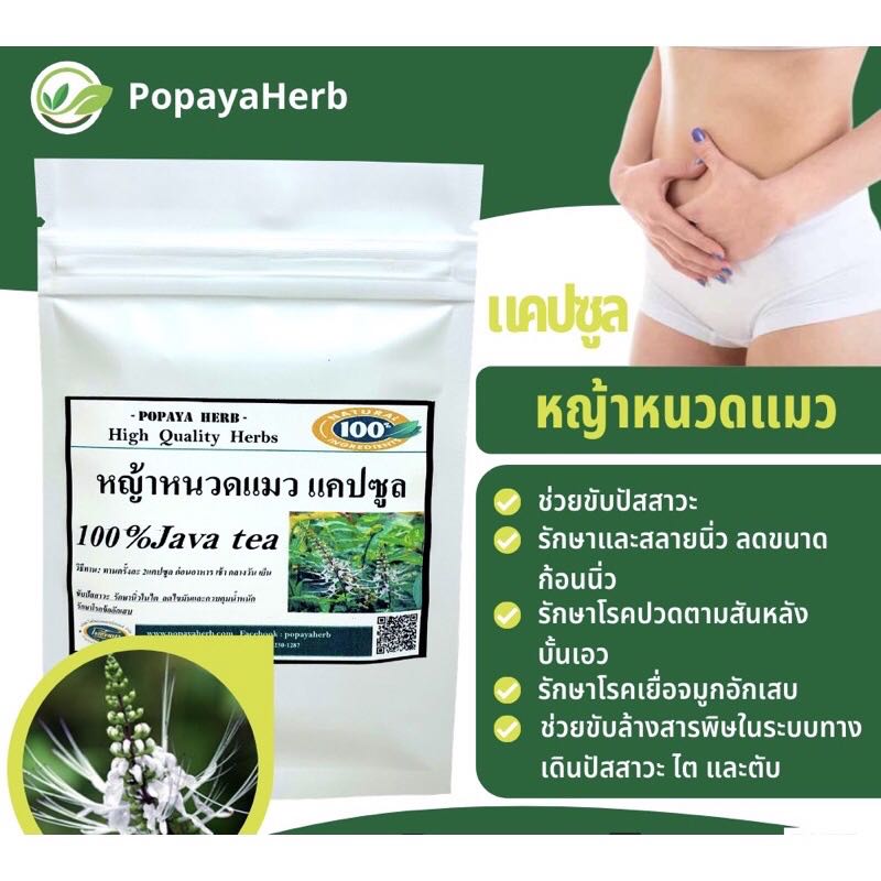 แคปซูล สมุนไพรหญ้าหนวดแมว(Java Tea 100%)