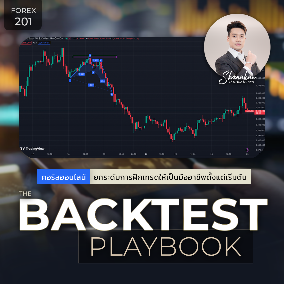 คอร์สออนไลน์ FOREX201 BACKTEST ยกระดับการฝึกเทรดให้เป็นมืออาชีพตั้งแต่เริ่มต้น