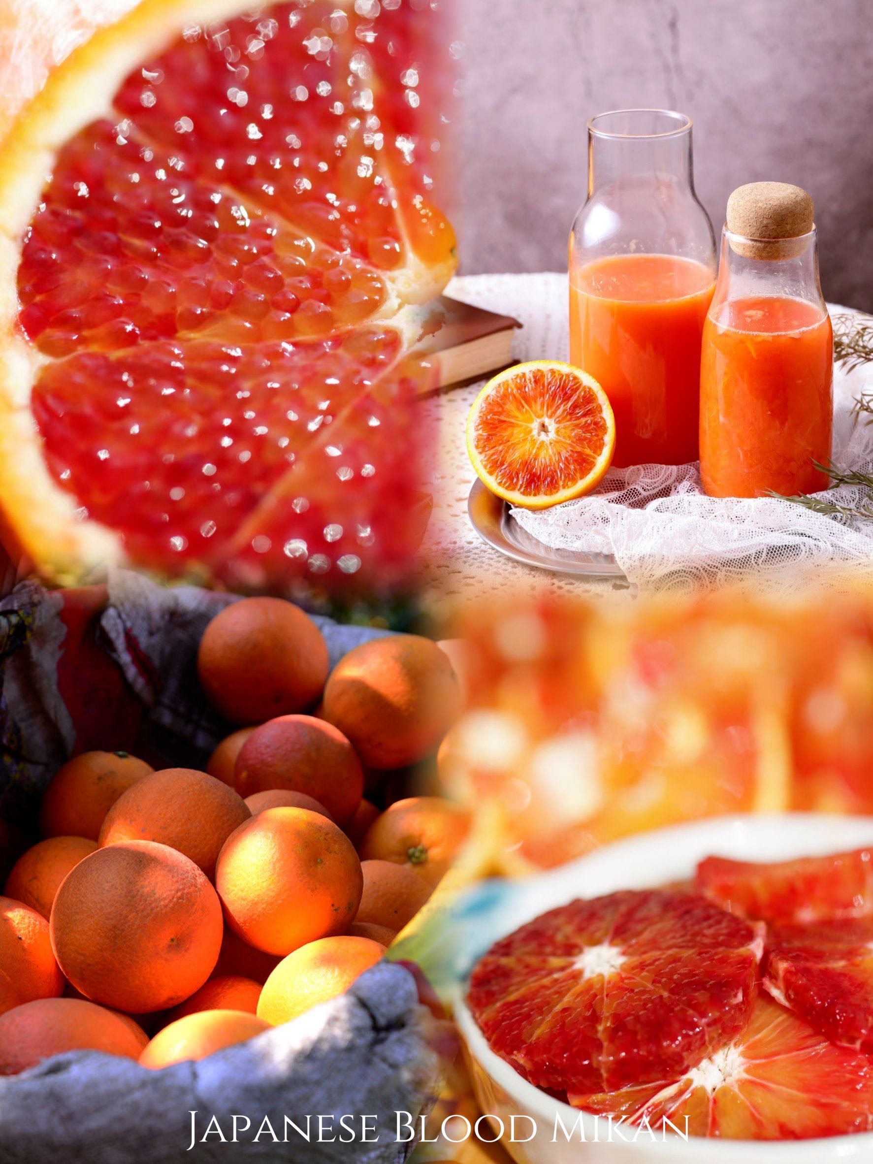 Orange Japanese Blood