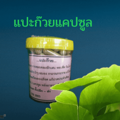 แปะก๊วย