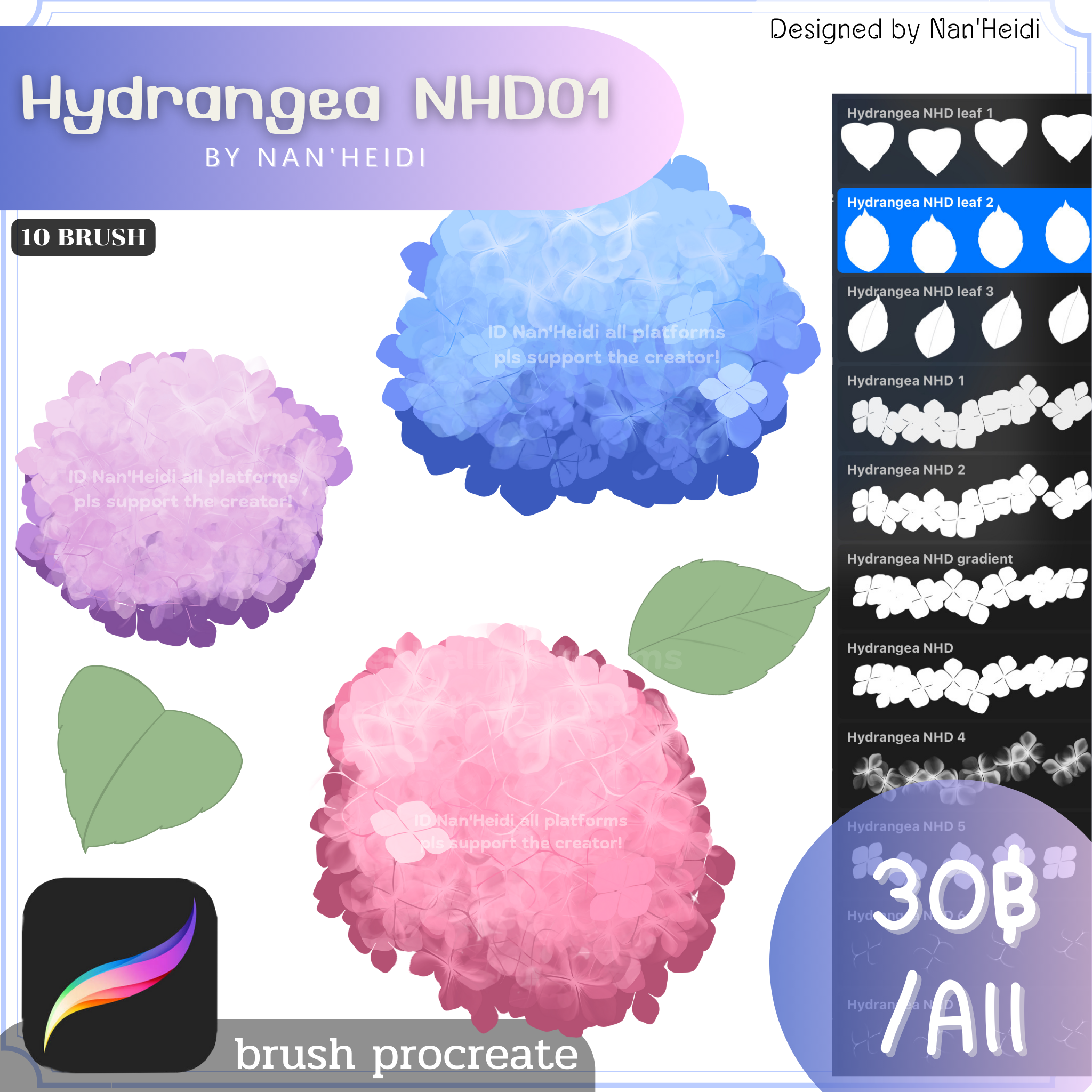 B18 Hydrangea NHD01