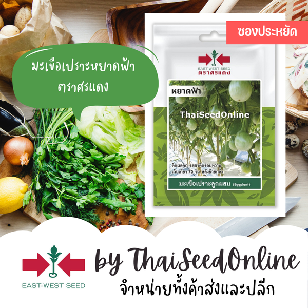 ศรแดง VP3 ซฟ เมล็ดพันธุ์ มะเขือเปราะลูกผสม หยาดฟ้า 60เมล็ด ตราศรแดง Eggplant
