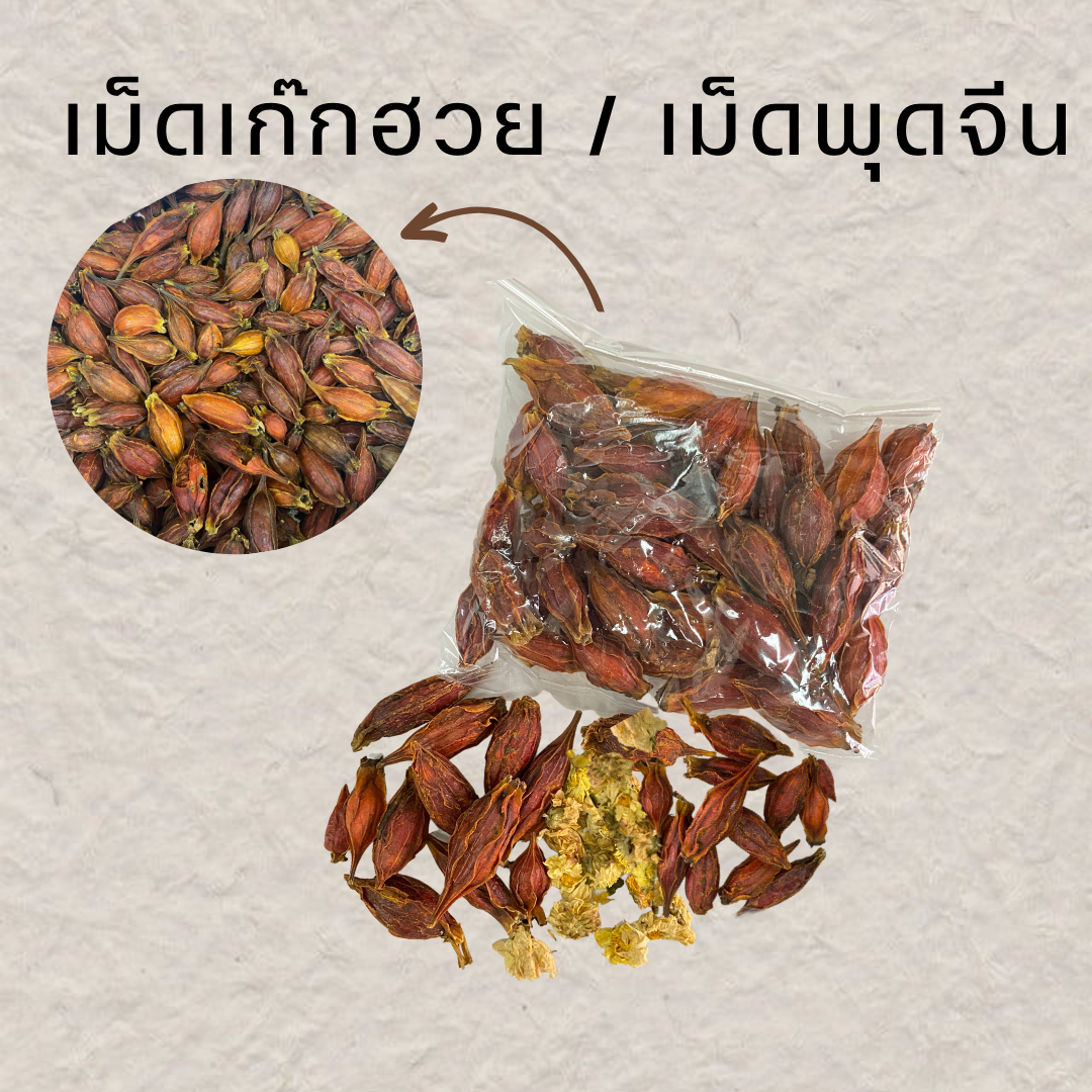เม็ดเก๊กฮวย/เม็ดพุดจีน/อึ่งกี สำหรับใส่เก็กฮวย 100g.