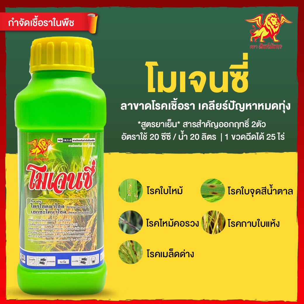 โมเจนซี่ สิงห์มังกร